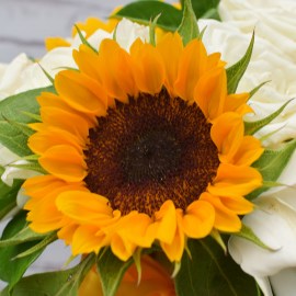 010c8bff00781113cb2711f5c9e6f372