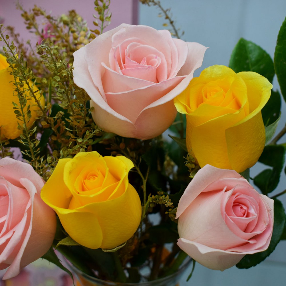 048877b5940b0731752851a152b538e9