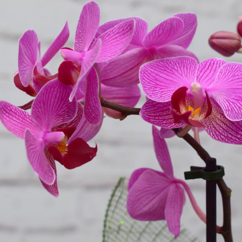 06417cbf630ce49705c4c2879554b371