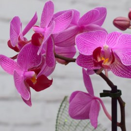 06417cbf630ce49705c4c2879554b371