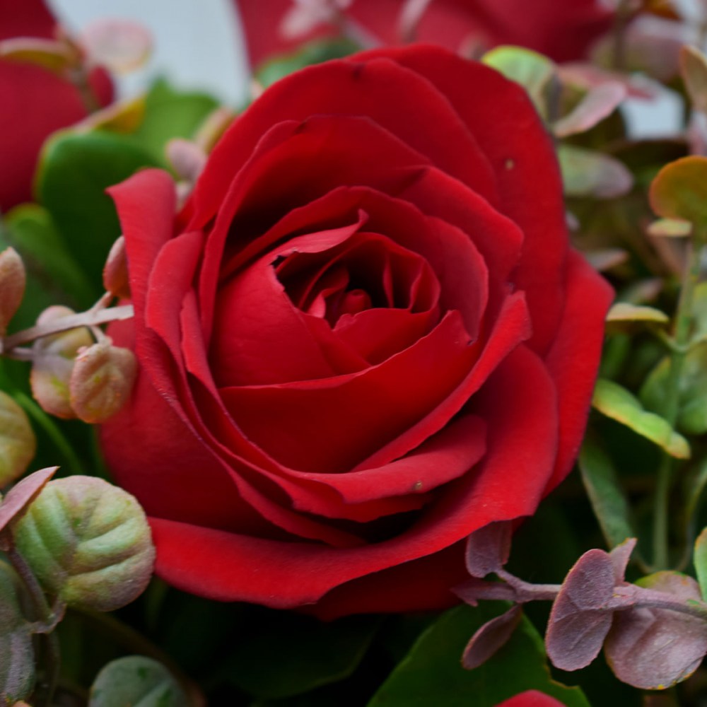 09107ba297b115b1c2d3a95a3b796f4b