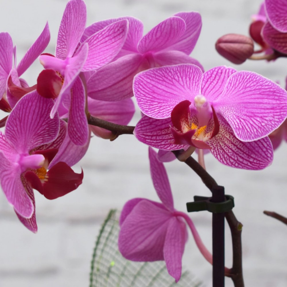 0be46ada5bfadd5d5c7fdc0719b3a56a