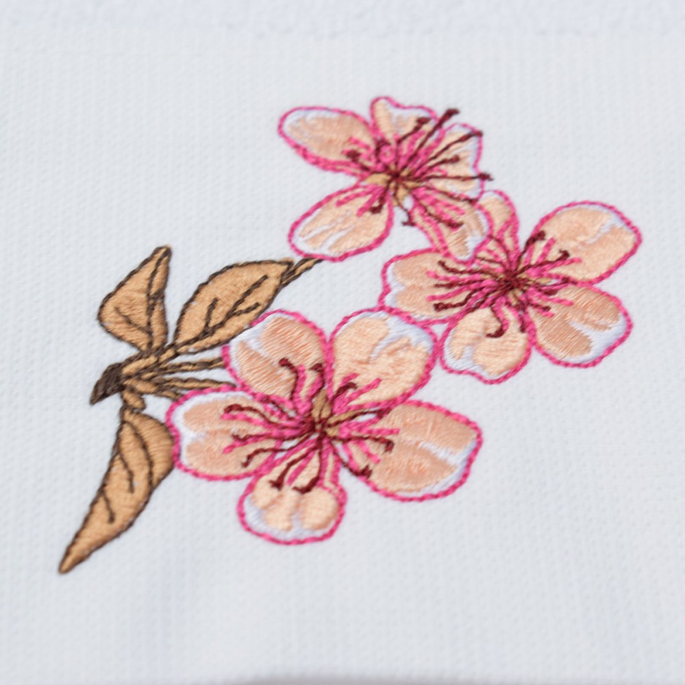 0c6b428ca91e4fa88618855d43999b1e