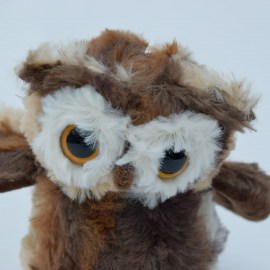 0c9ec7a096fffd50a1fec4bbdee2fe5f