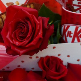 0dac5e083d4d913da937a8fe24908ec3