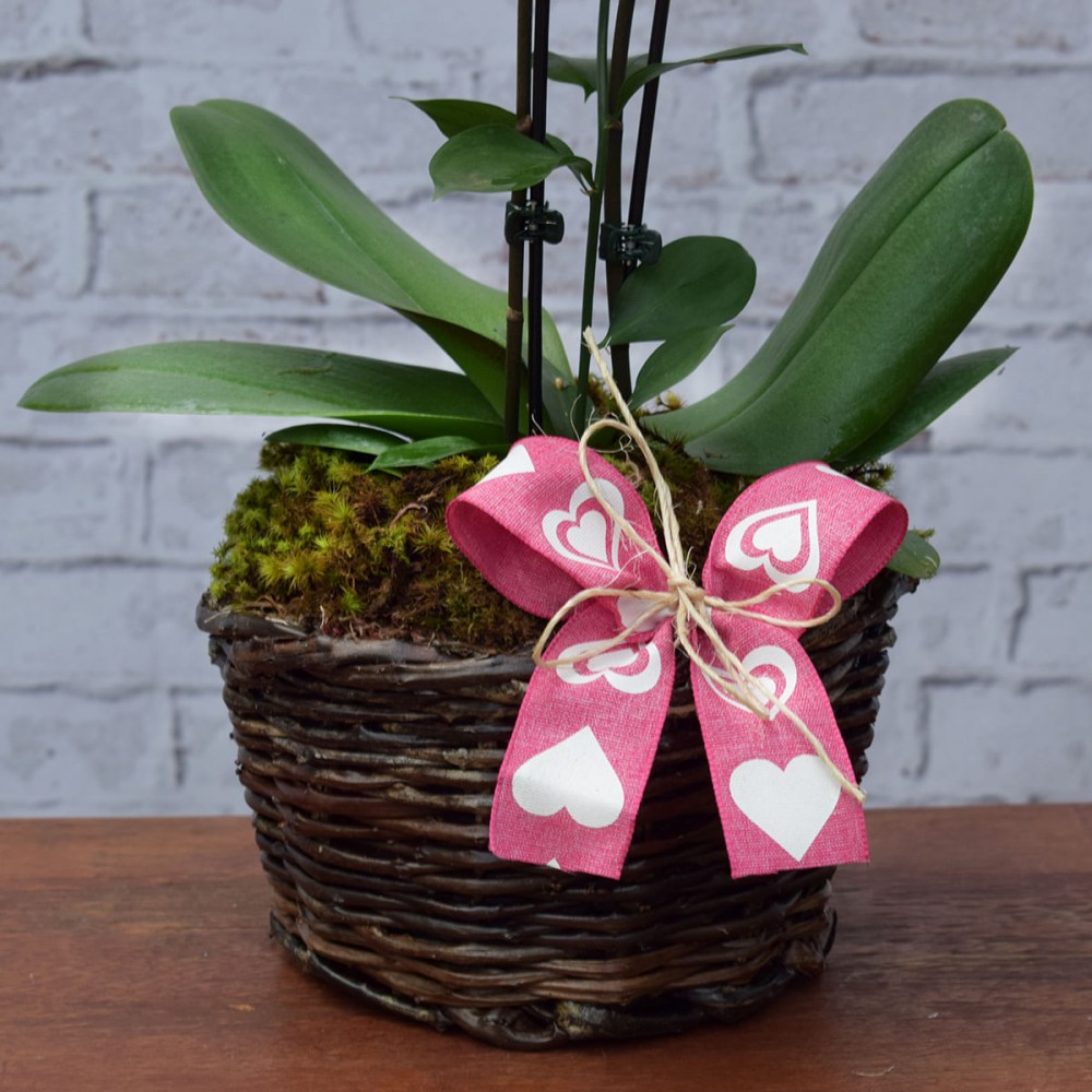 0fbb71c76e432f00704cc71ca4753919