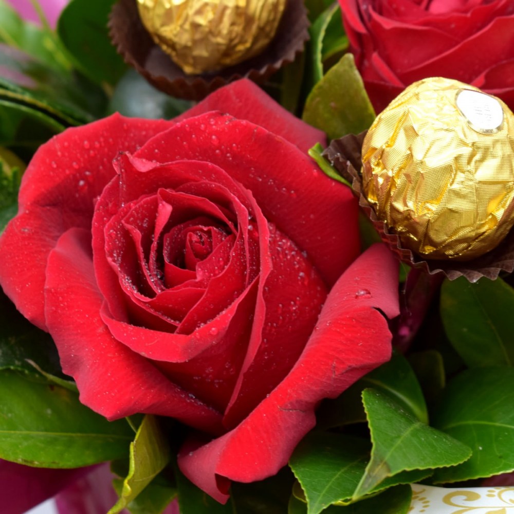 1102eef46bf0dde1b6b64edf8cbeb385