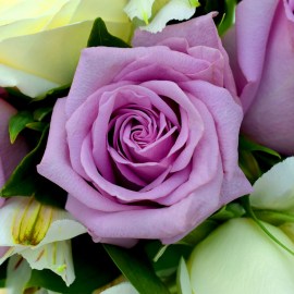 111ef261763f91bb2f612cc83be25db8