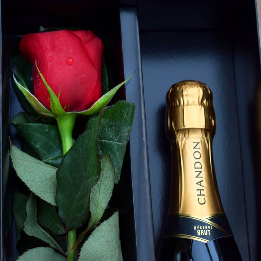 115bb9ecfd3fb7b98d841fd24ccc84b0