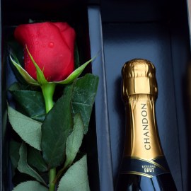 115bb9ecfd3fb7b98d841fd24ccc84b0