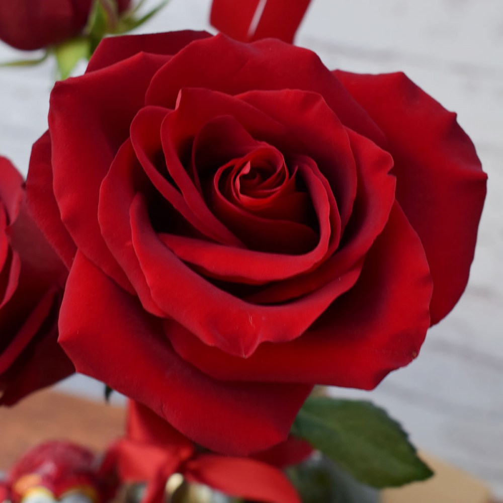 11a12fb0fab97e500838a26ac5bc79d0