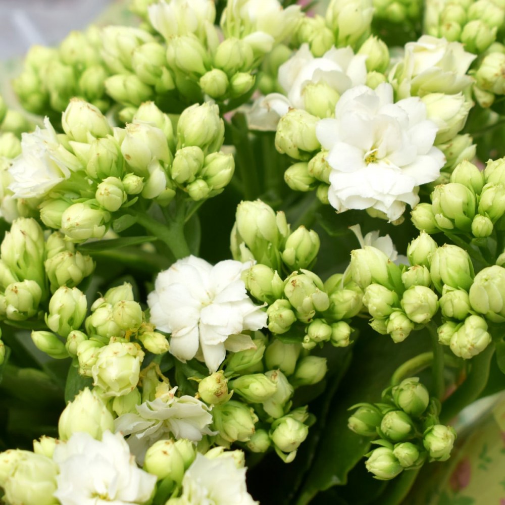 12f590a9032738f0dded94918433400f