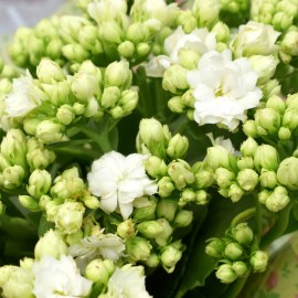 12f590a9032738f0dded94918433400f