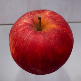 13205bebc92c05dd94749b626fde7ff6