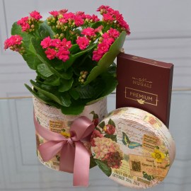 134330f7e1a9f477ae9670779448c3ce