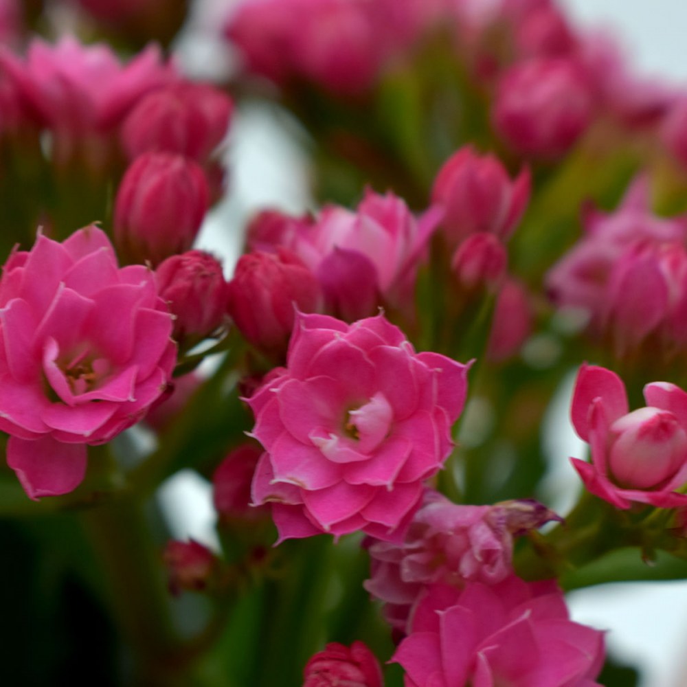 135a6bd07b5635f268bc45c918671bfb