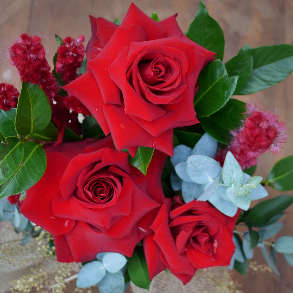 13b09a6206154a261908bde2664b7256