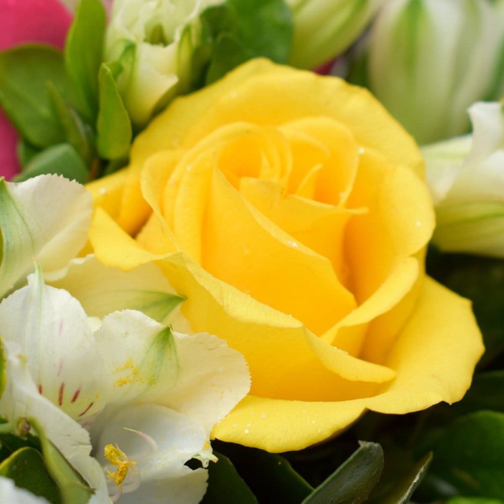 1432a74f6c85efda329c976baacaa1c7