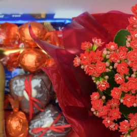 14f2ccf90a5afe78ec98121ccfcc7597