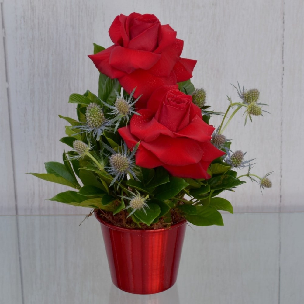 16359de8db8c266b2c88e9219c64a412