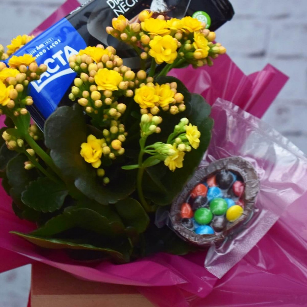 1742cbe75222ad90c72e6de4388bea3c