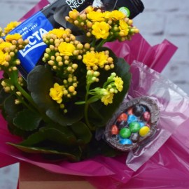 1742cbe75222ad90c72e6de4388bea3c