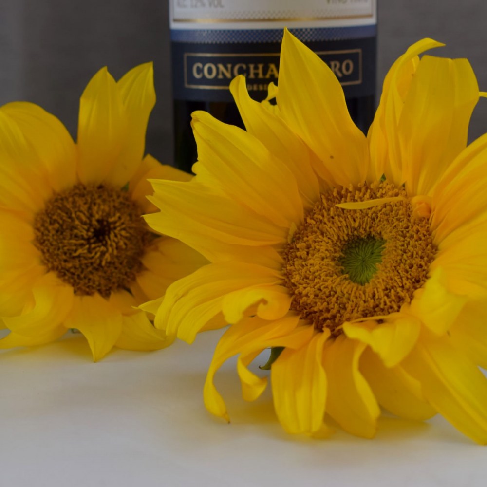 17674308a0d01da8da4395adef8cf2c6