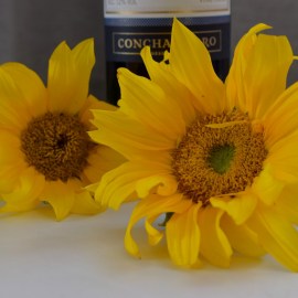 17674308a0d01da8da4395adef8cf2c6