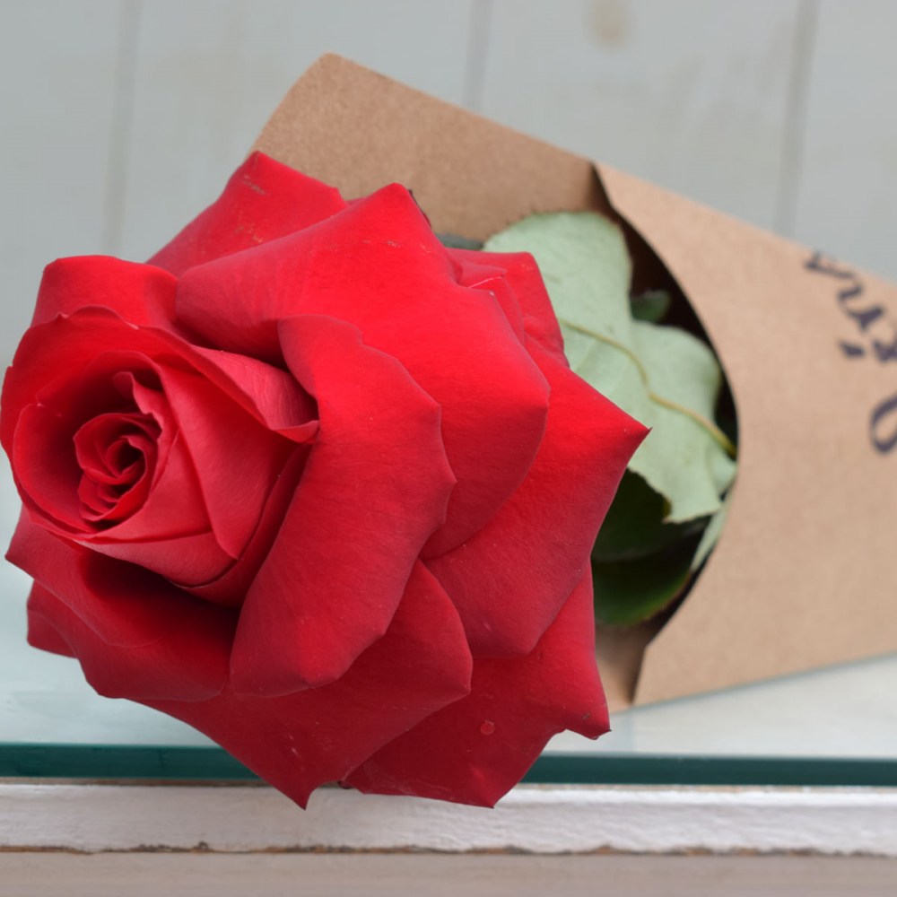 18b54b68e49a190c43edb4ed4eff6177