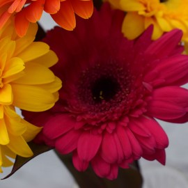 1b7fbeac94a95a40b680ac86830cf65b