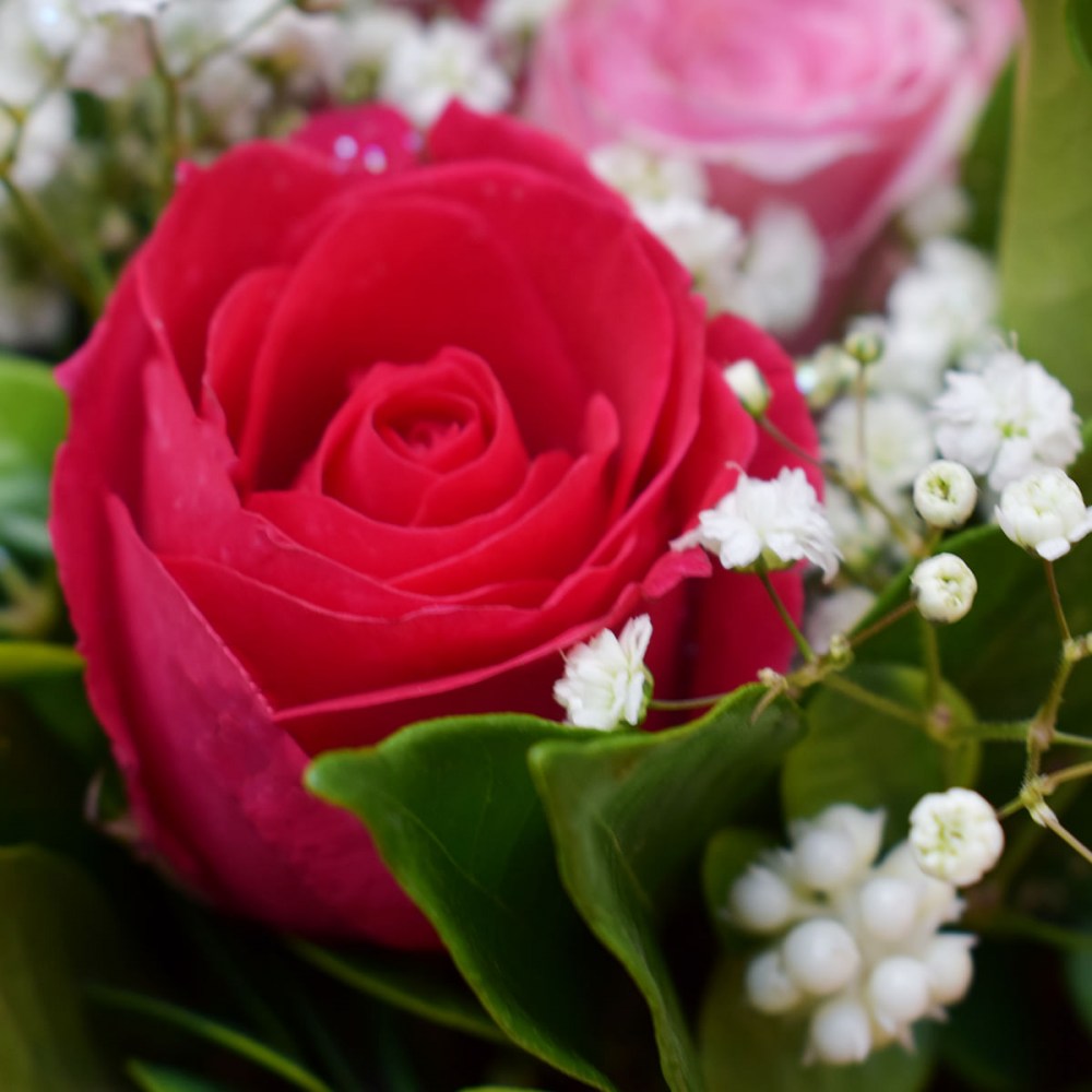 1cb4f74352dfc3ff61a529282c4bcd82