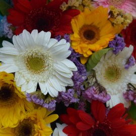 1f6194c9b22f953bcf8c046e4aca23ca