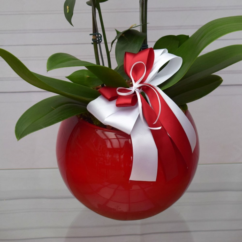 1fbb886e62ada48cd9e7e1d416ea8c74