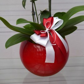 1fbb886e62ada48cd9e7e1d416ea8c74