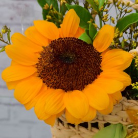 20a6573d0542d3d5bf9412913120cfd5