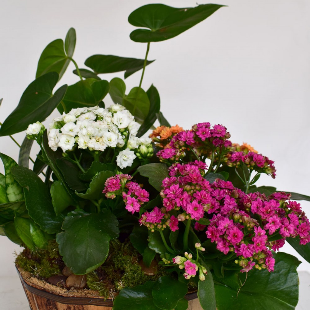 20d5cf4320bea151c382b20a3aa7537a