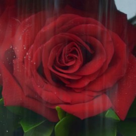 213f96e94b4bc7a7fb6d44cd2ace2ae8