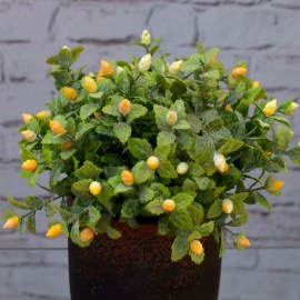 21dd71fded287e88ce1978c7c404da8c