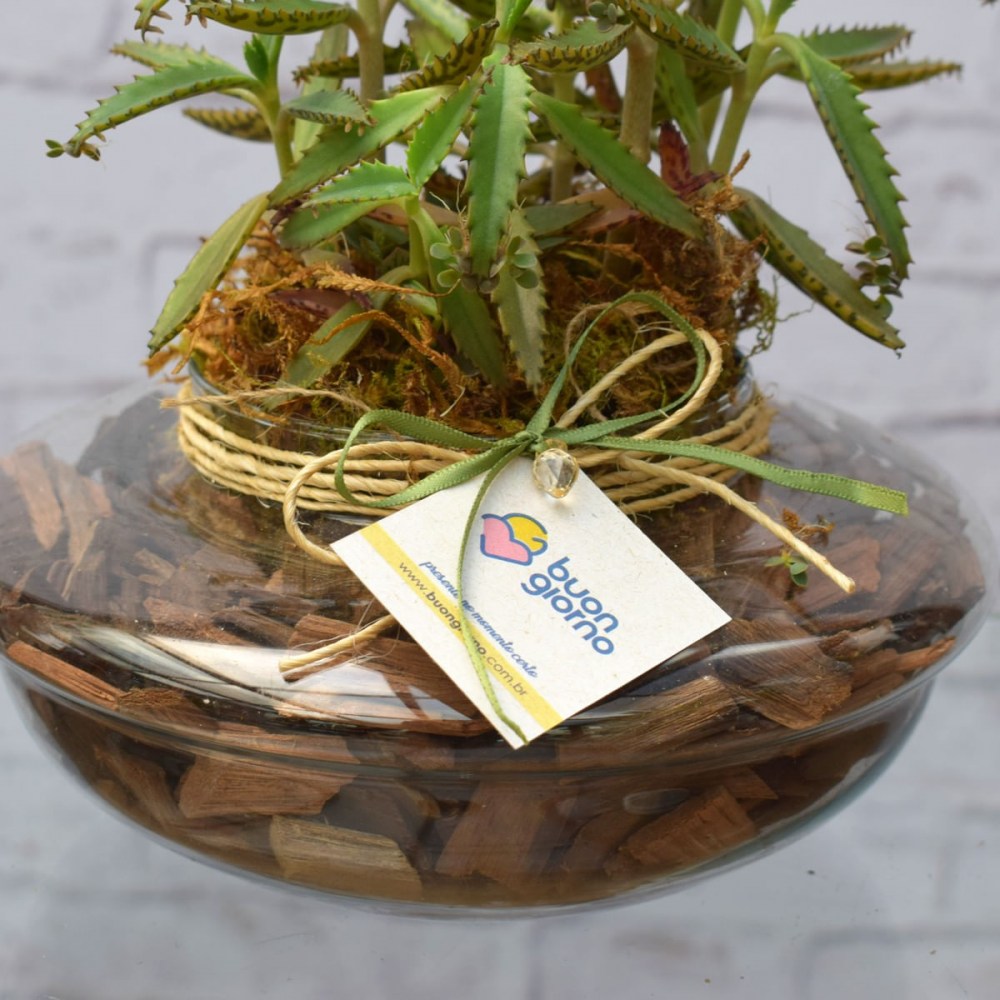 22853bd46516ee186cbe2903a1df4a6f