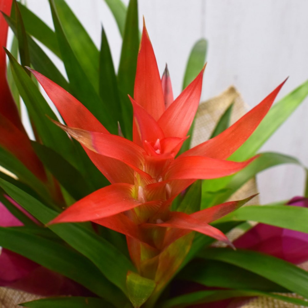 22ba13a72102817841756967ffd78e95