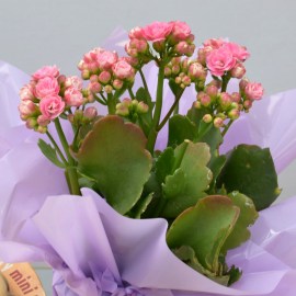 22d912e0c95f748851327fd538cf728a