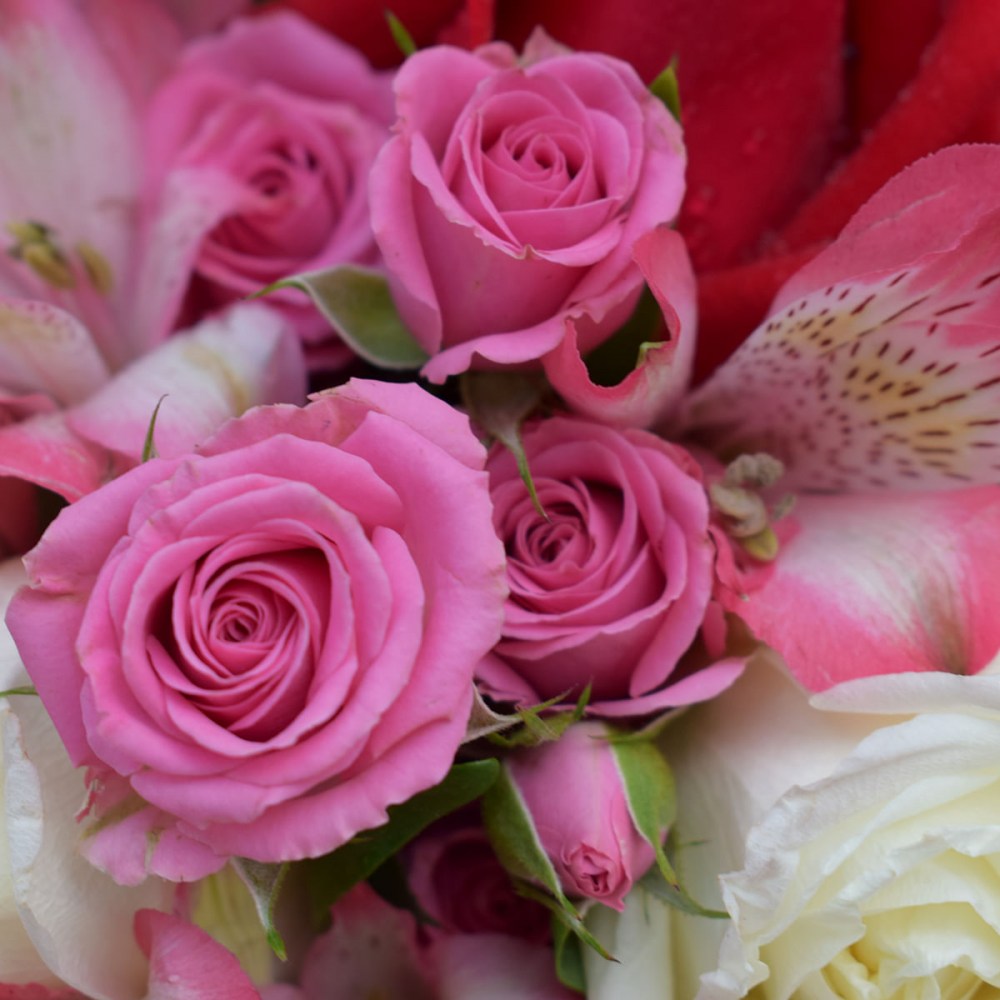 254f7255c9ec7e7efa513dc23805f5c8