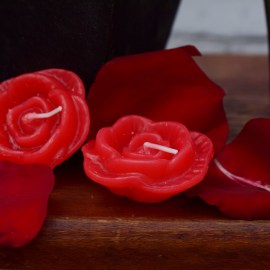 28214dcf4cf4f6d55c1551e70abcd6bd