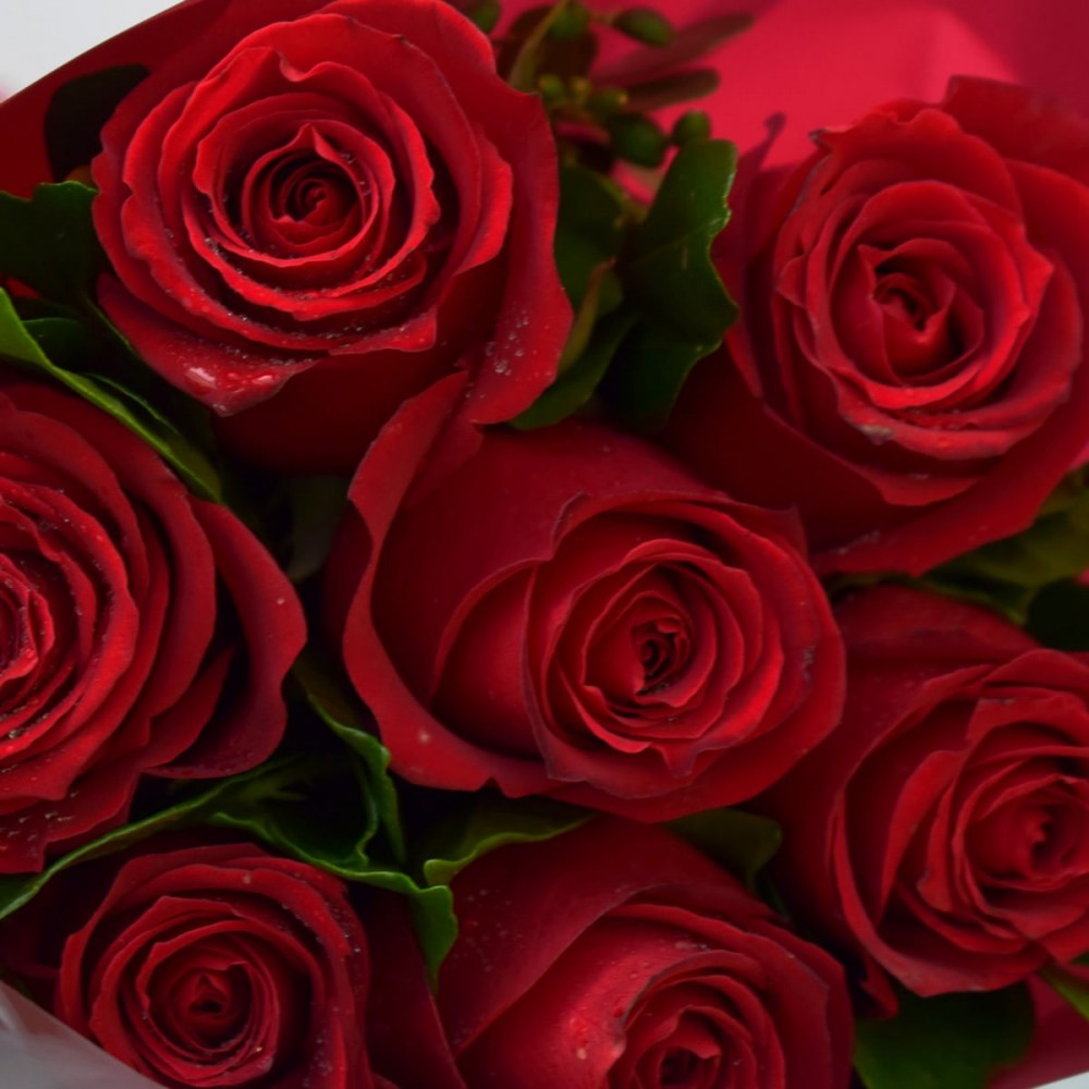 292d87a4d2b3b2991348a5cb6e07cb84