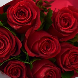 292d87a4d2b3b2991348a5cb6e07cb84