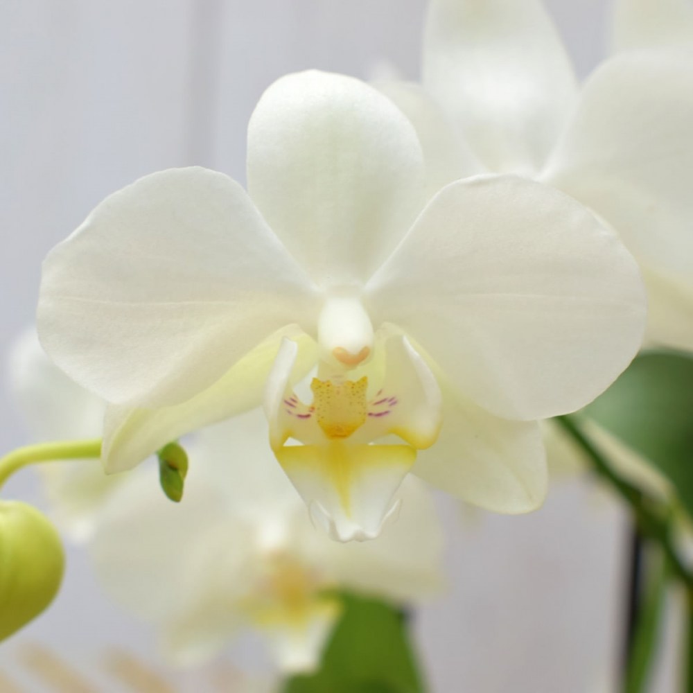 2a4e5c980713f36feff2de6f8a900c77