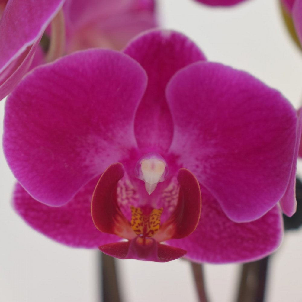 2e84c7ae3b49a1e446ec508695f162a7