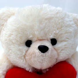 2eb94661b9a4ab402c3f8e4a262b34ce