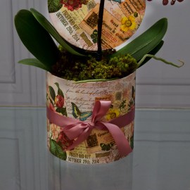 2ed1b0e80d2d25875cd3f115aafbedc8