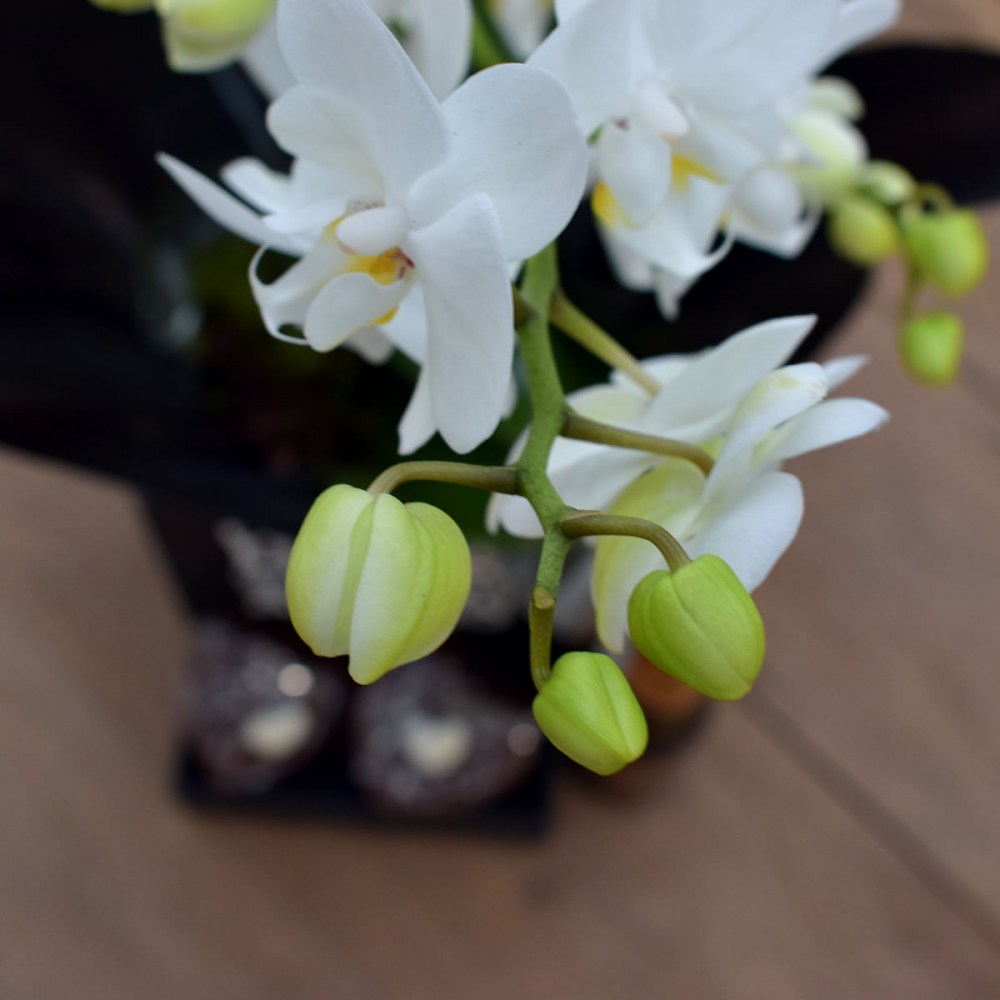 30f049a2aef82fc94f374f71950f2c63